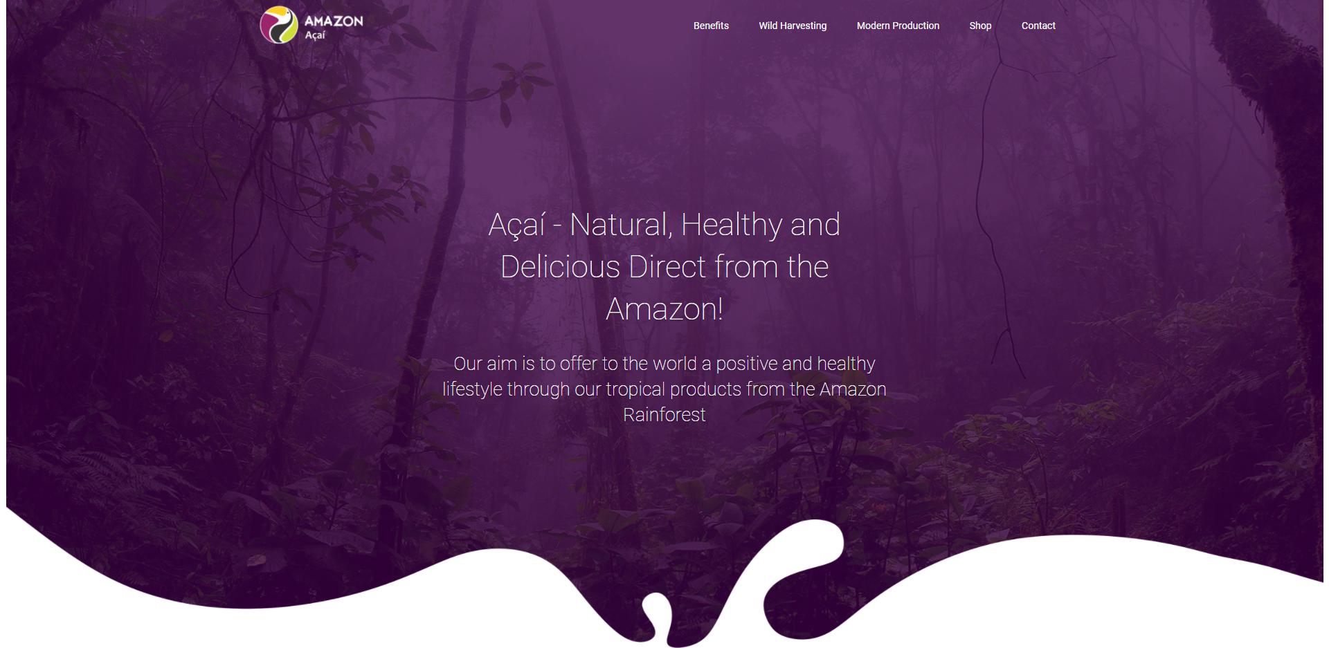Amazon Acai Amazon Acai